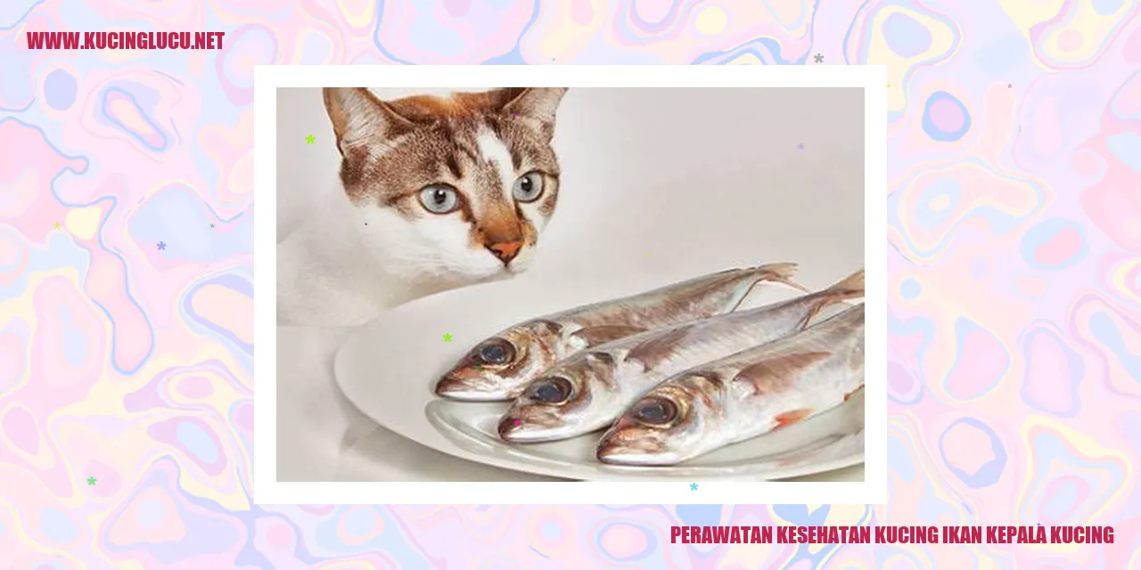 Kucing ikan kepala perlu perawatan kesehatan yang baik