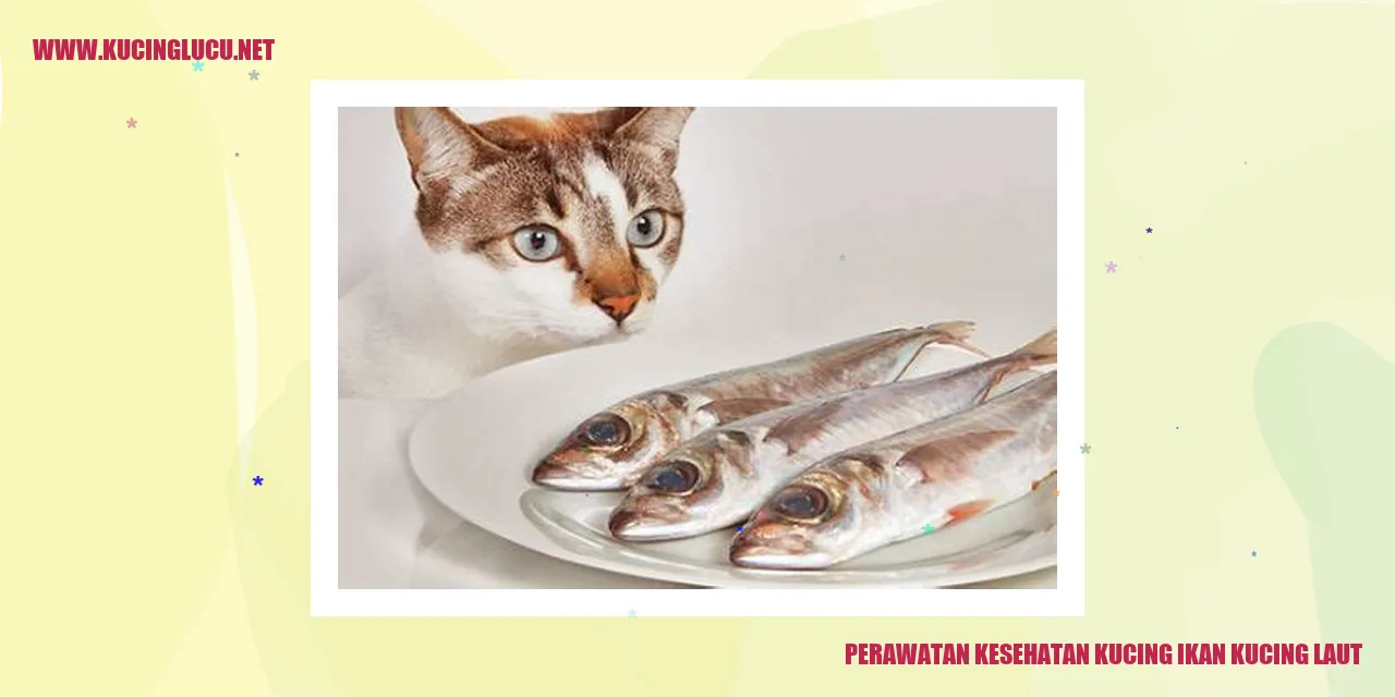 Perawatan Kesehatan Kucing Ikan Kucing Laut