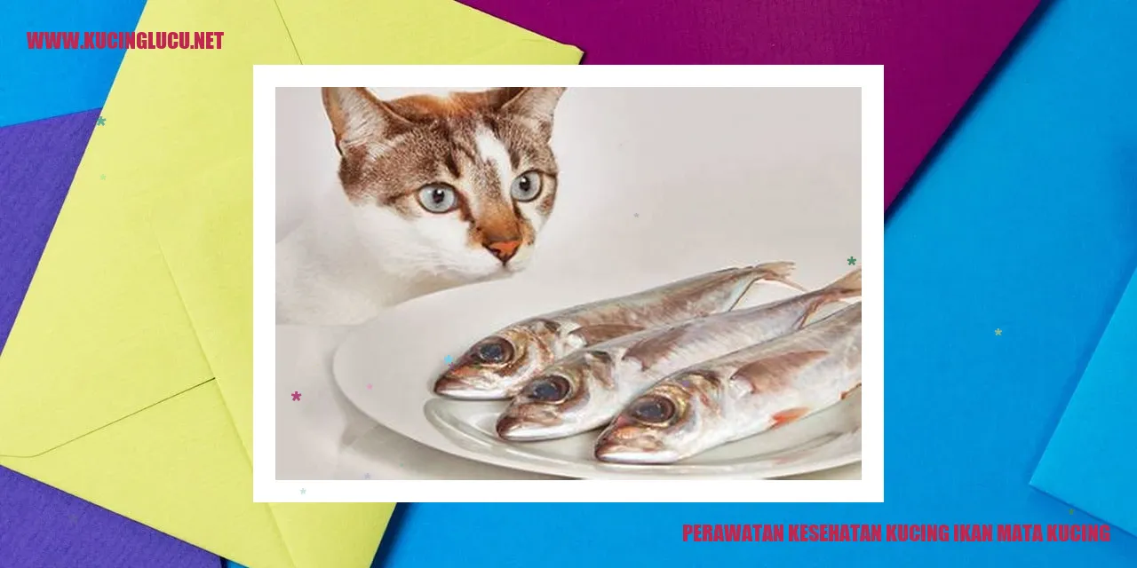 Perawatan Kesehatan Kucing Ikan Mata Kucing