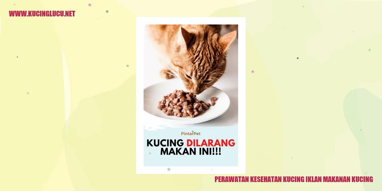 Perawatan Kesehatan Kucing