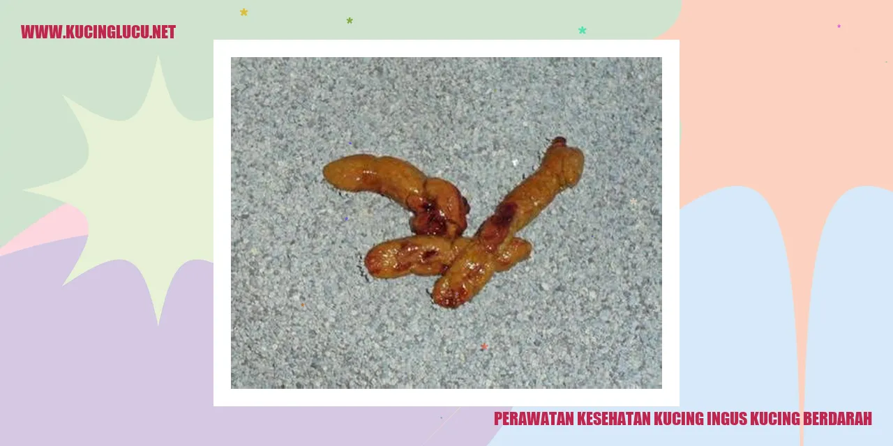 Perawatan Kesehatan Kucing ingus kucing berdarah
