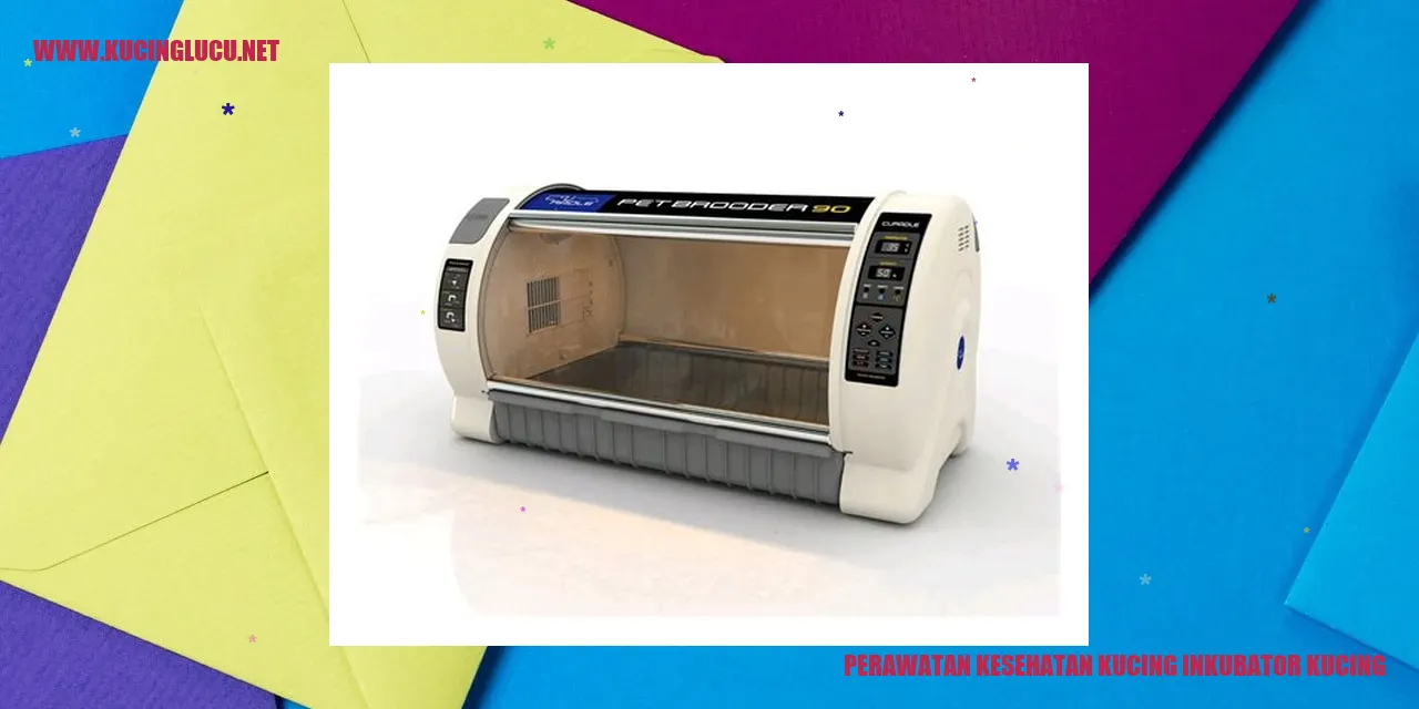 gambar kucing dalam inkubator