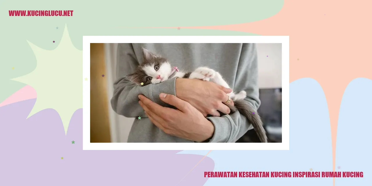 GAMBAR: Perawatan Kesehatan Kucing inspirasi rumah kucing
