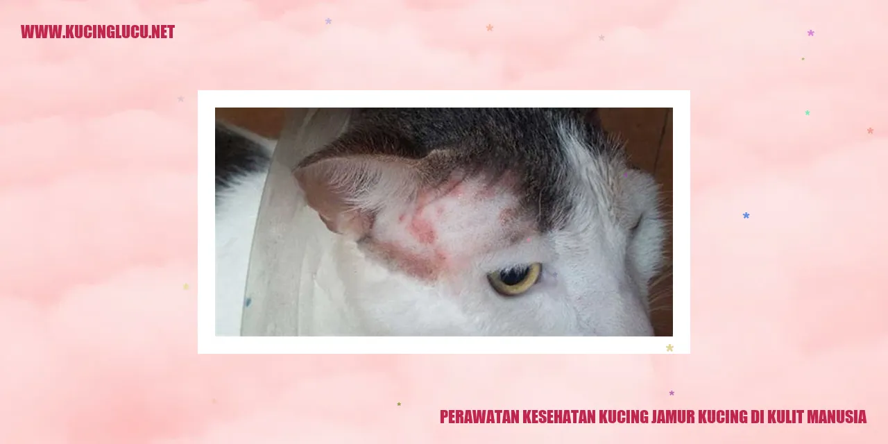 Kucing, Jamur, dan Kulit Manusia