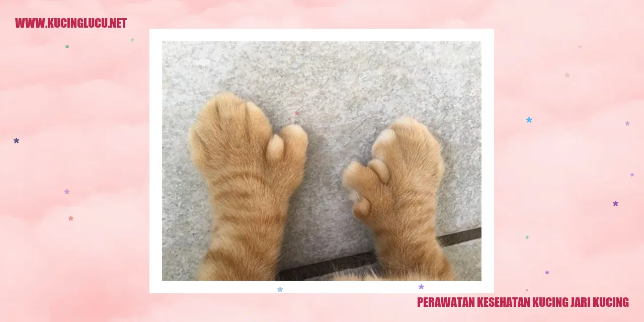 Perawatan Kesehatan Kucing Jari Kucing