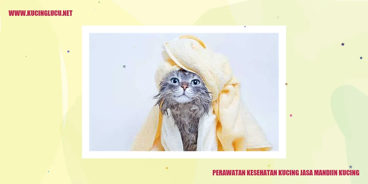 Jasa Mandiin Kucing