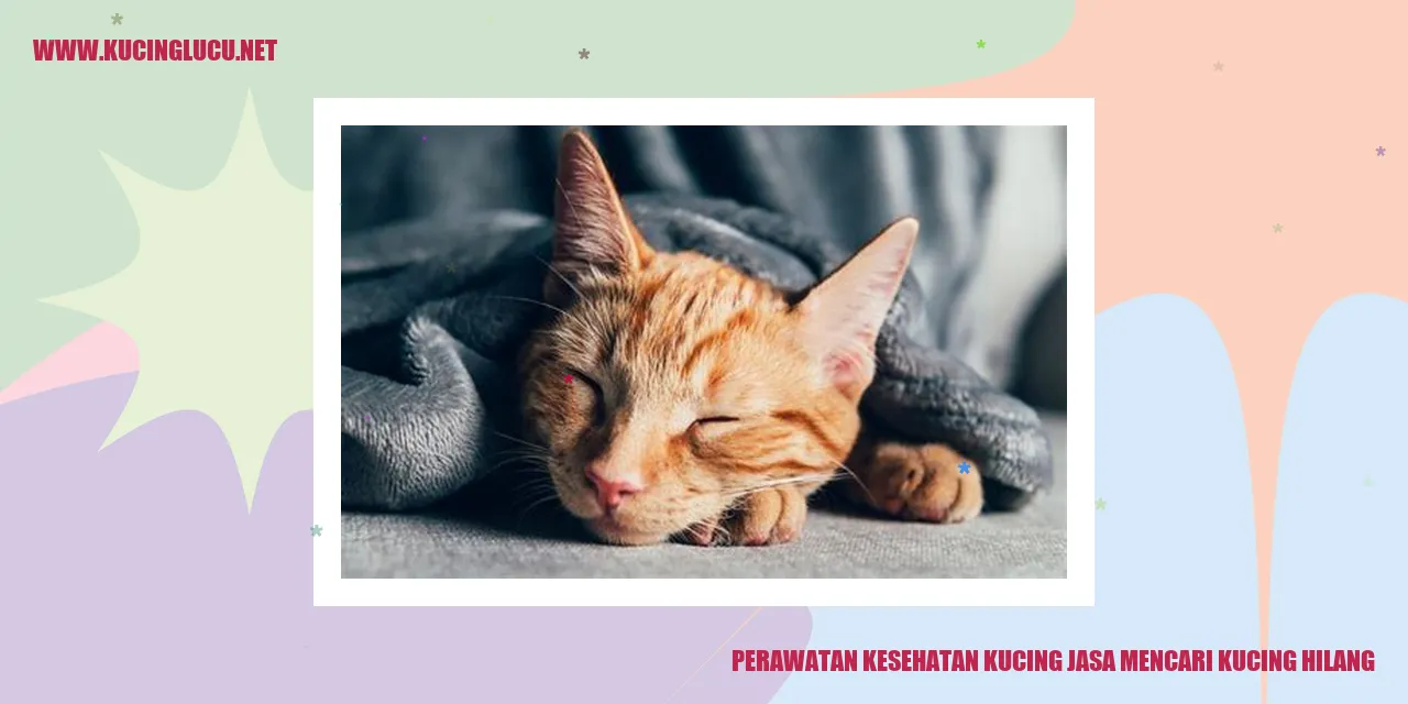 Perawatan Kesehatan Kucing