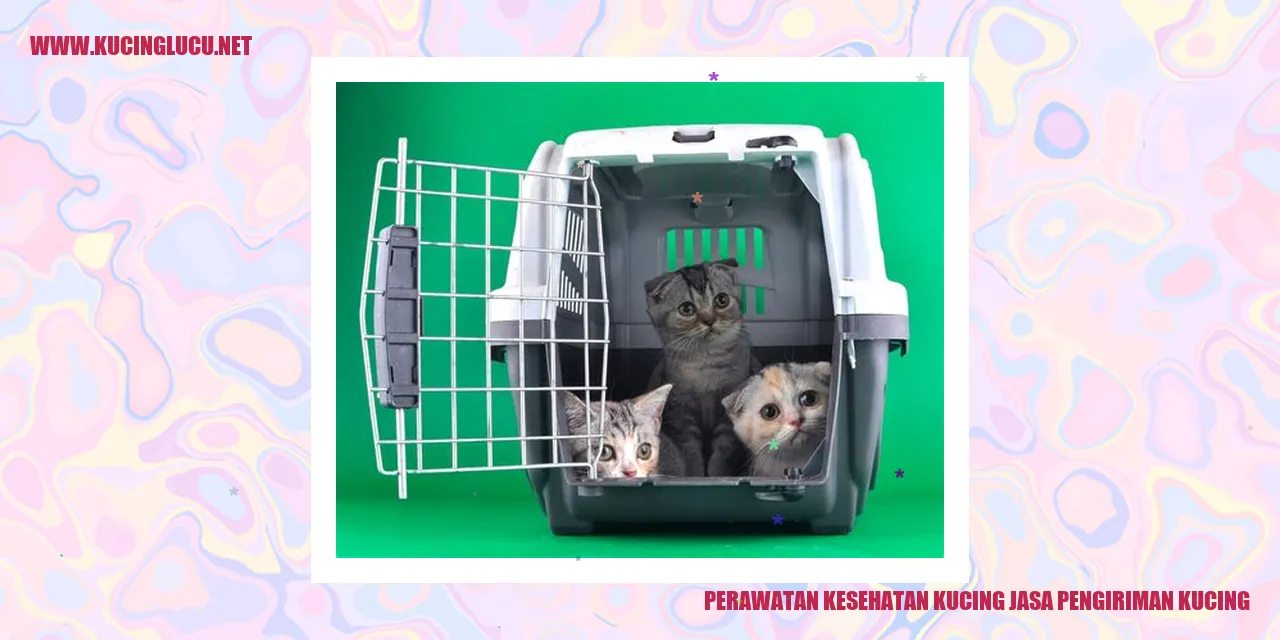 Perawatan Kesehatan Kucing jasa pengiriman kucing