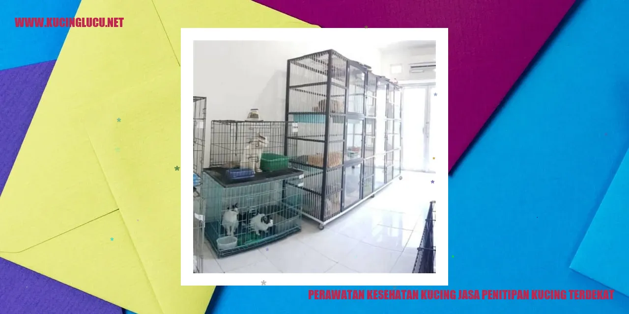 Perawatan Kesehatan Kucing