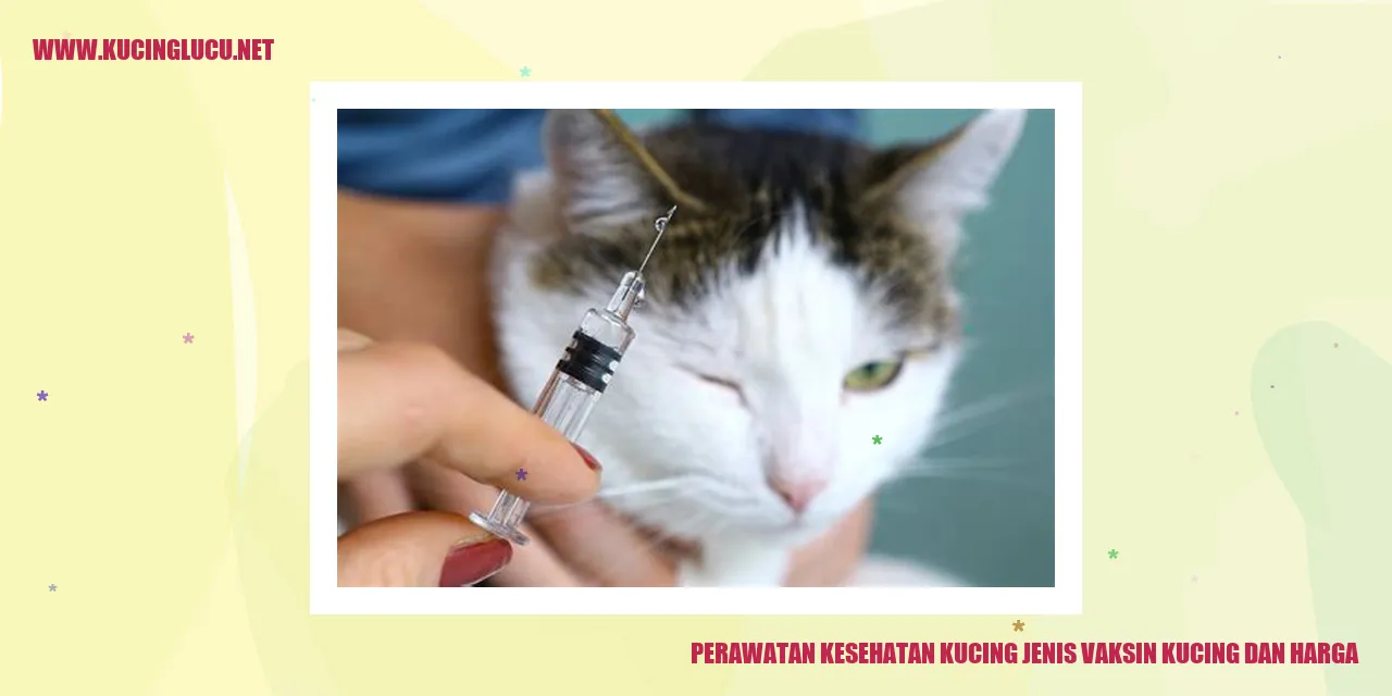 Perawatan Kesehatan Kucing