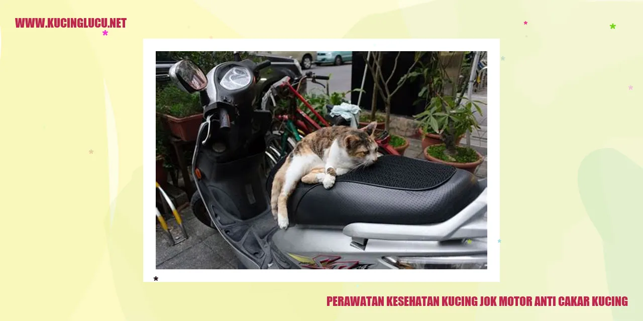 Perawatan Kesehatan Kucing jok motor anti cakar kucing