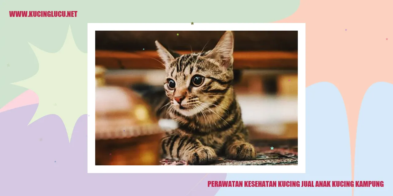 Perawatan Kesehatan Kucing