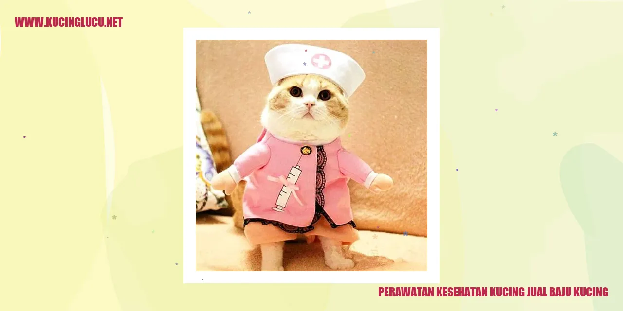 Perawatan Kesehatan Kucing