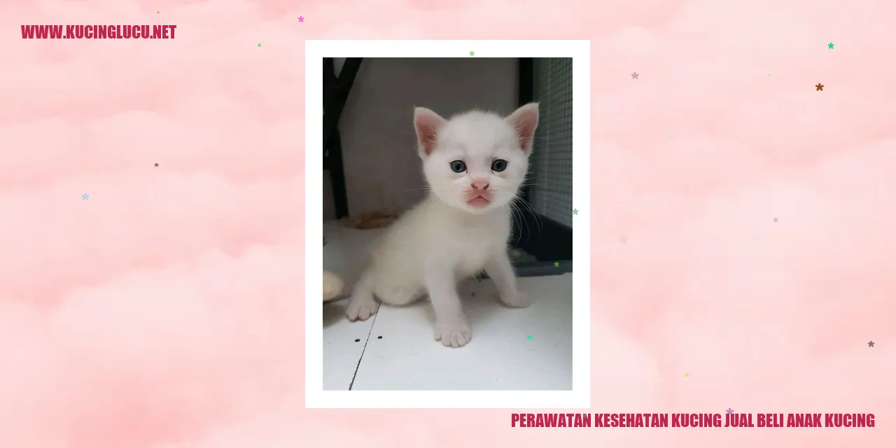 Perawatan Kesehatan Kucing
