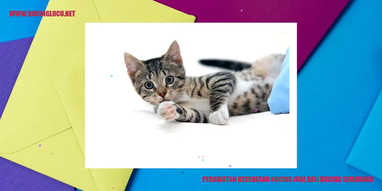 Perawatan Kesehatan Kucing