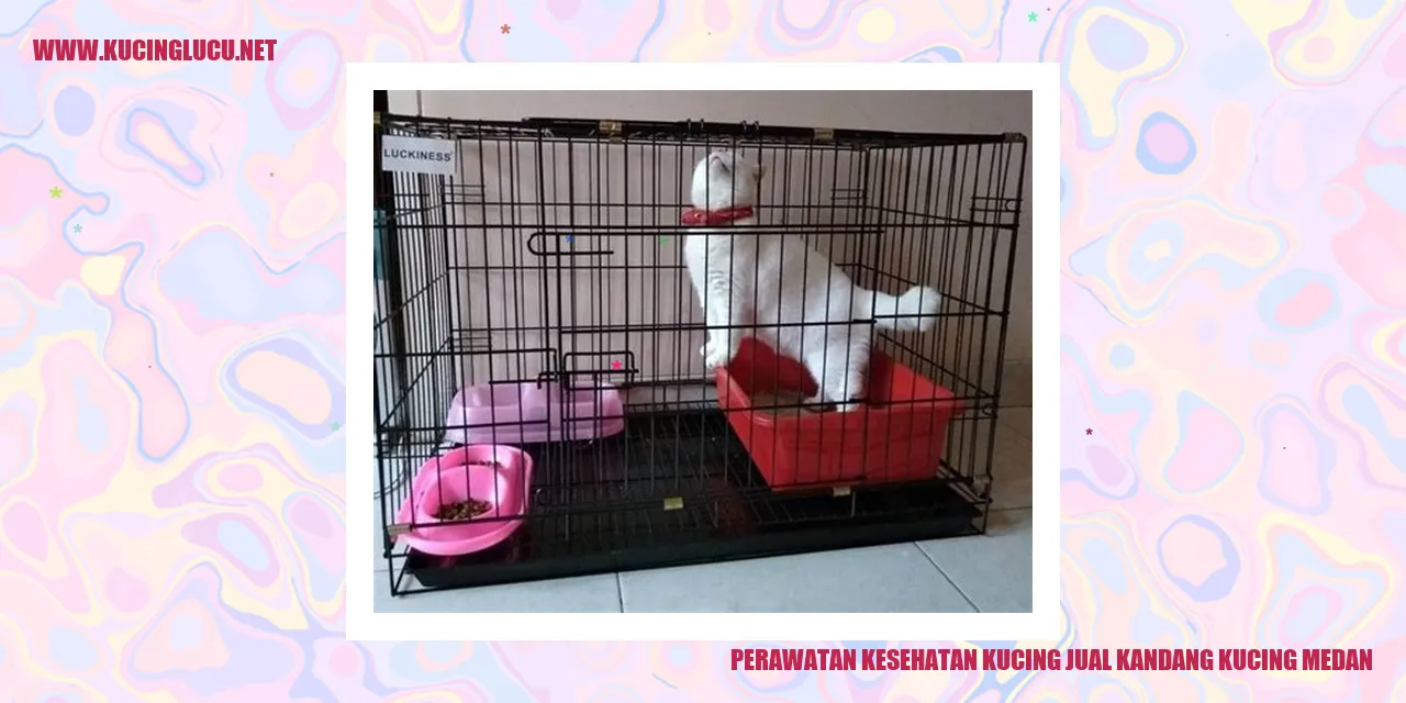 Perawatan Kesehatan Kucing jual kandang kucing medan