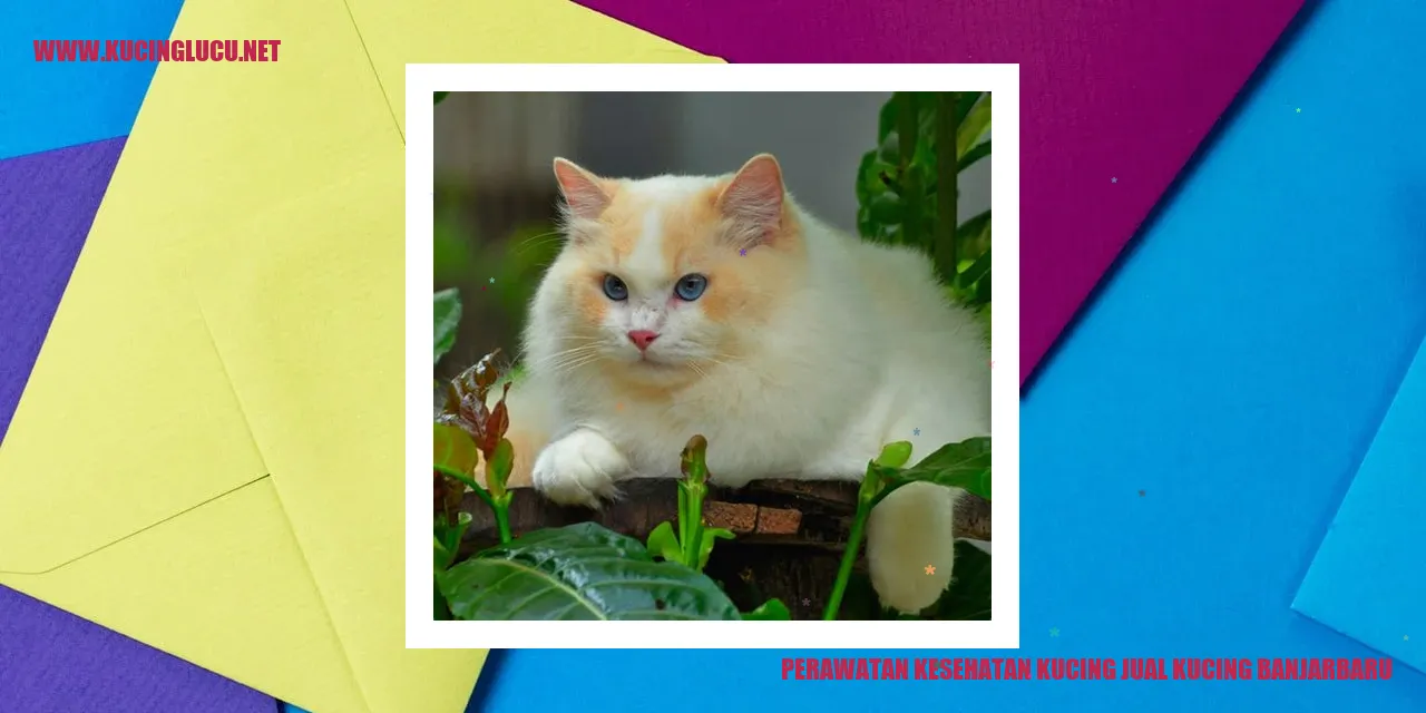 Gambar kucing sehat
