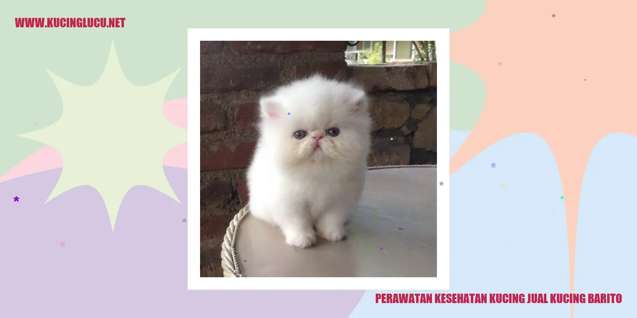 Perawatan Kesehatan Kucing
