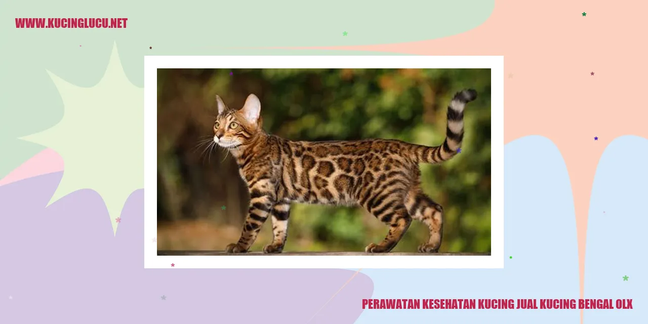 Perawatan Kesehatan Kucing