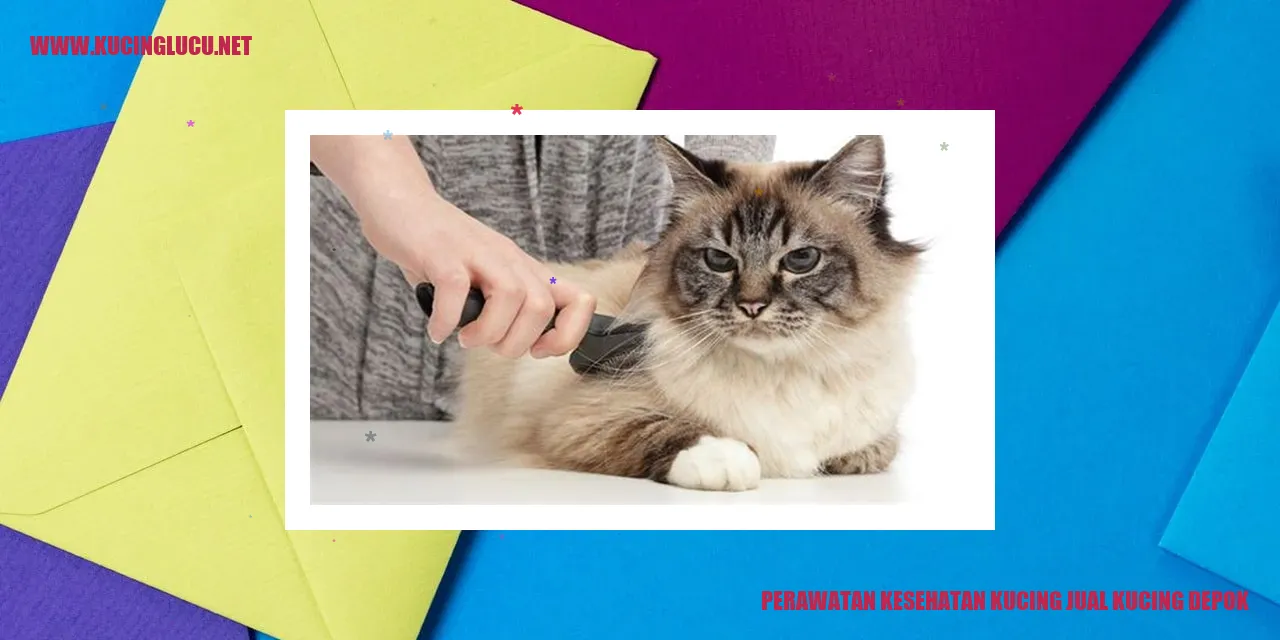 Gambar Kucing Sehat