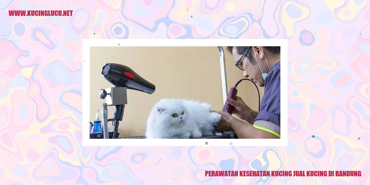Perawatan Kesehatan Kucing di Bandung