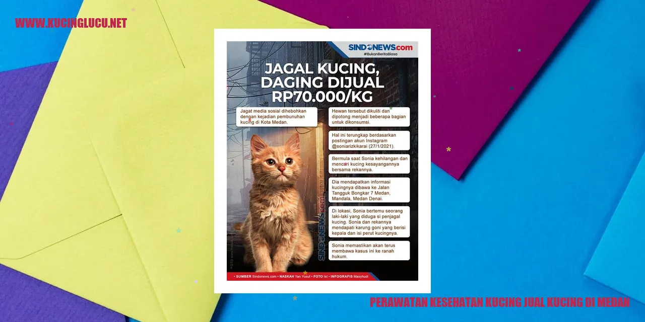 Perawatan Kesehatan Kucing