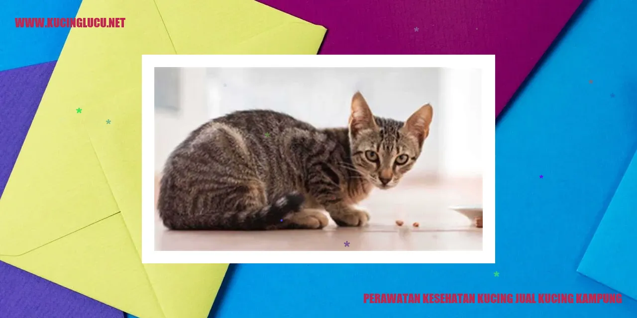 Perawatan Kesehatan Kucing