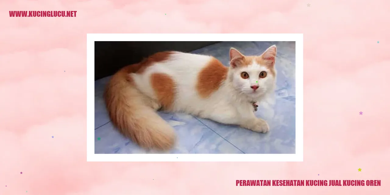 Perawatan Kesehatan Kucing