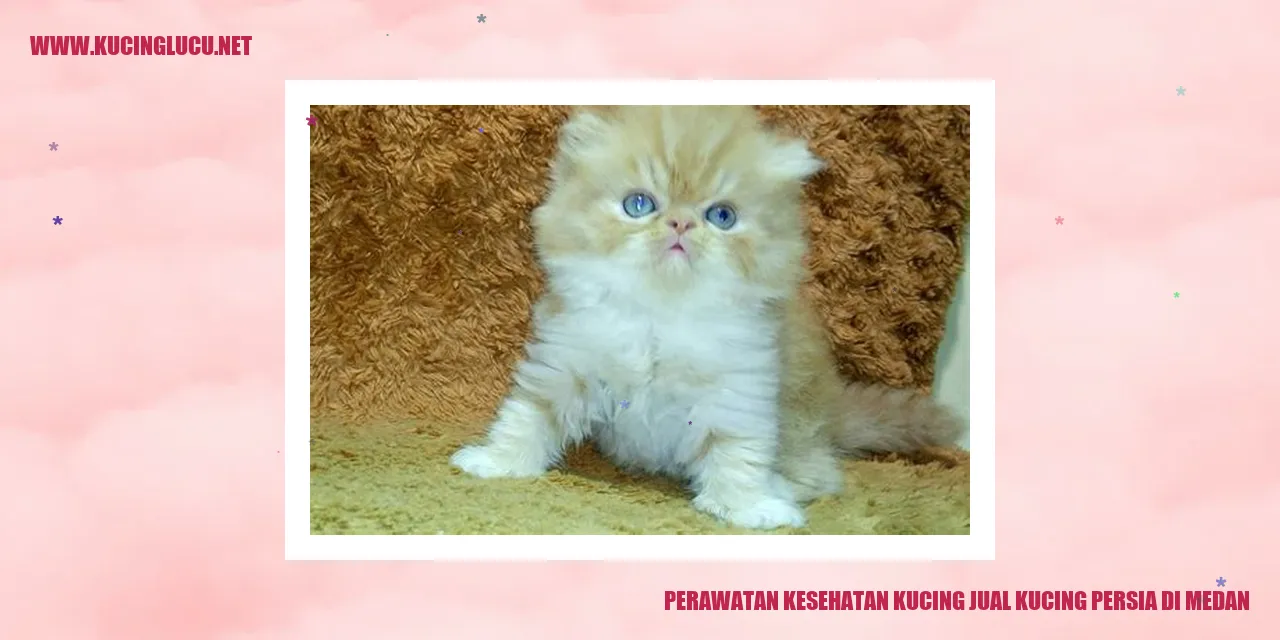 Perawatan Kesehatan Kucing