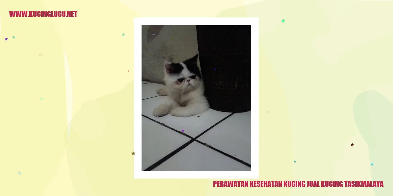 Perawatan Kesehatan Kucing