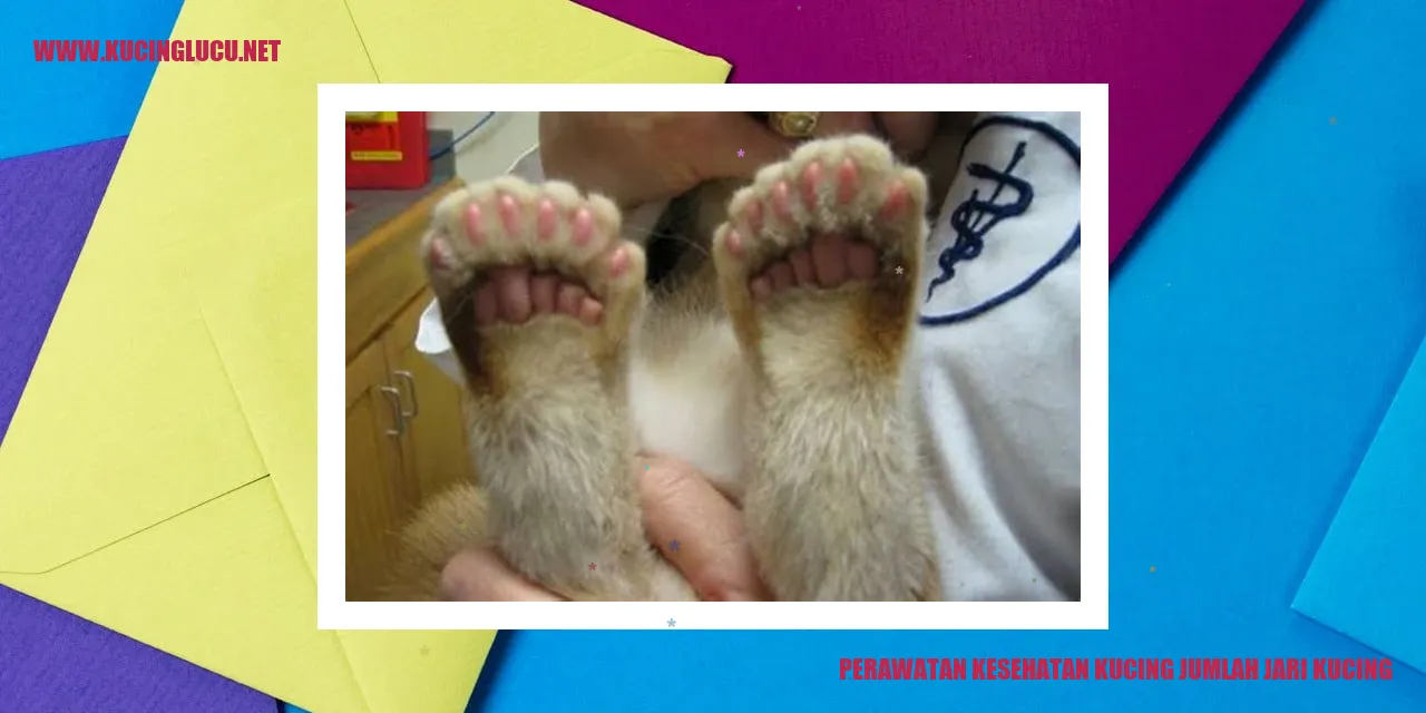 Perawatan Kesehatan Kucing