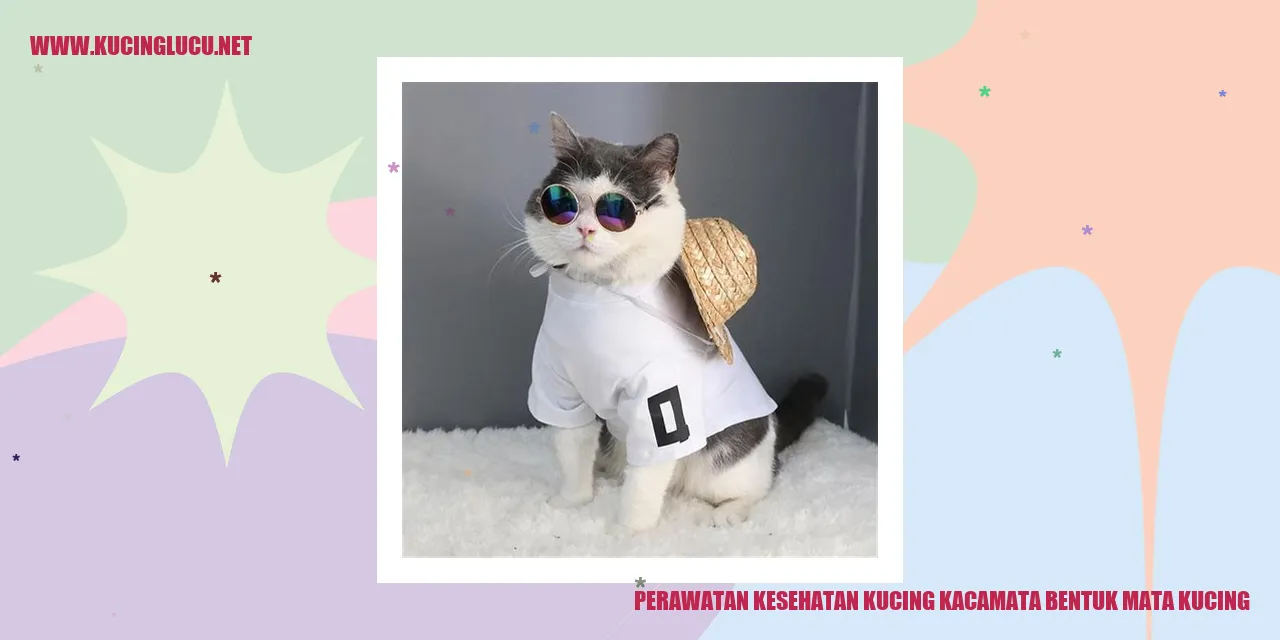 Foto Kucing Kacamata