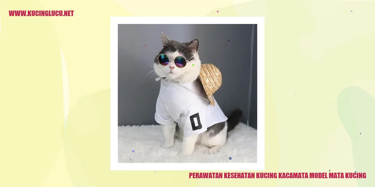 Perawatan Kesehatan Kucing kacamata model mata kucing