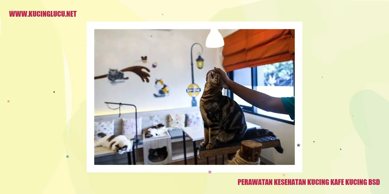 Perawatan Kesehatan Kucing Kafe Kucing BSD