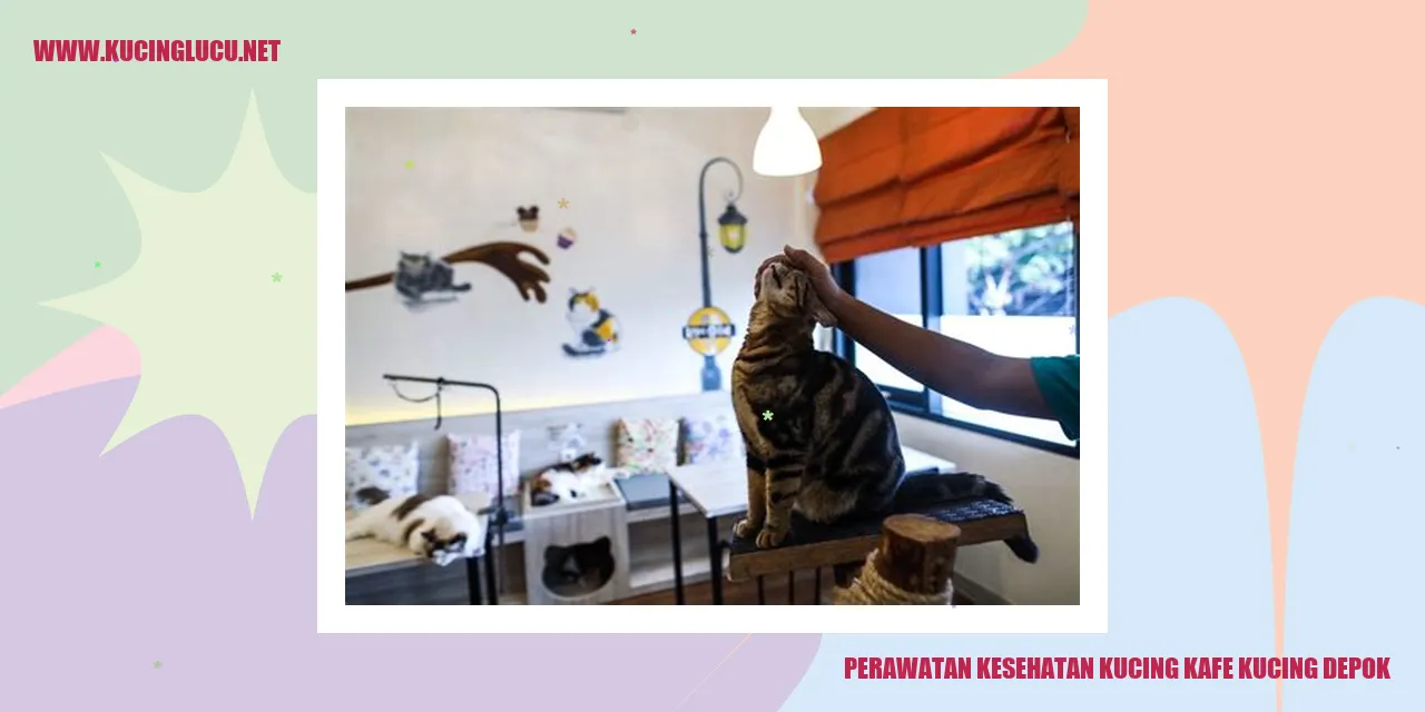 Kafe Kucing Depok