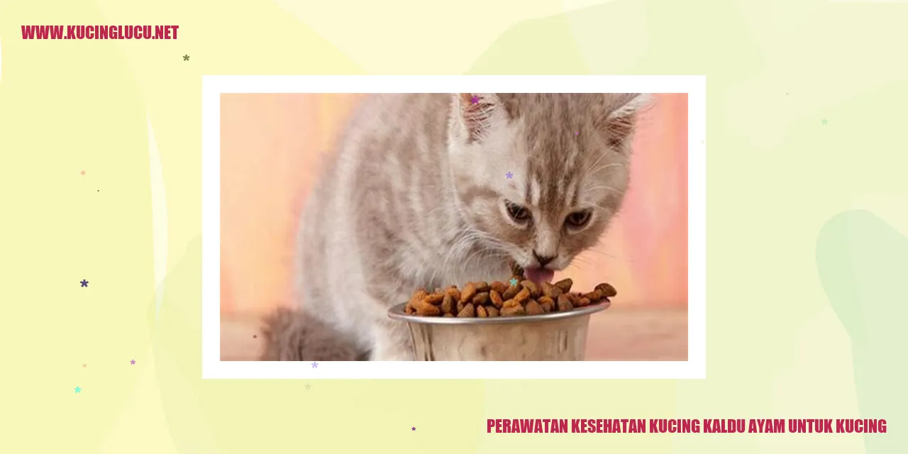 Perawatan Kesehatan Kucing dengan Kaldu Ayam