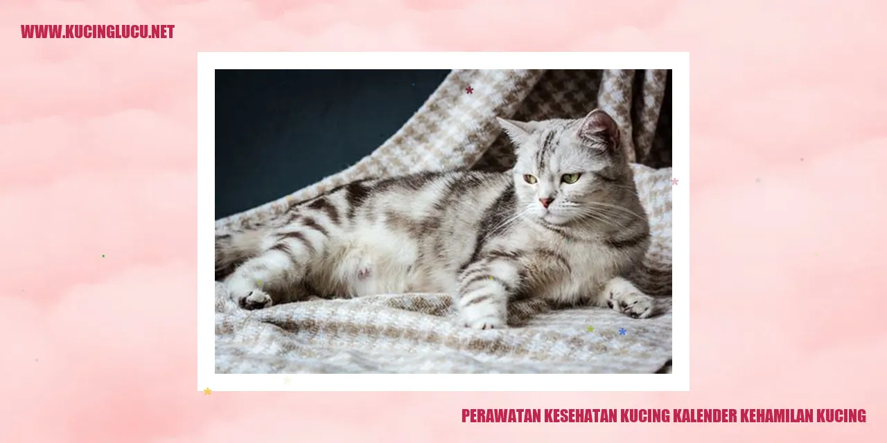 Ilustrasi Perawatan Kesehatan Kucing