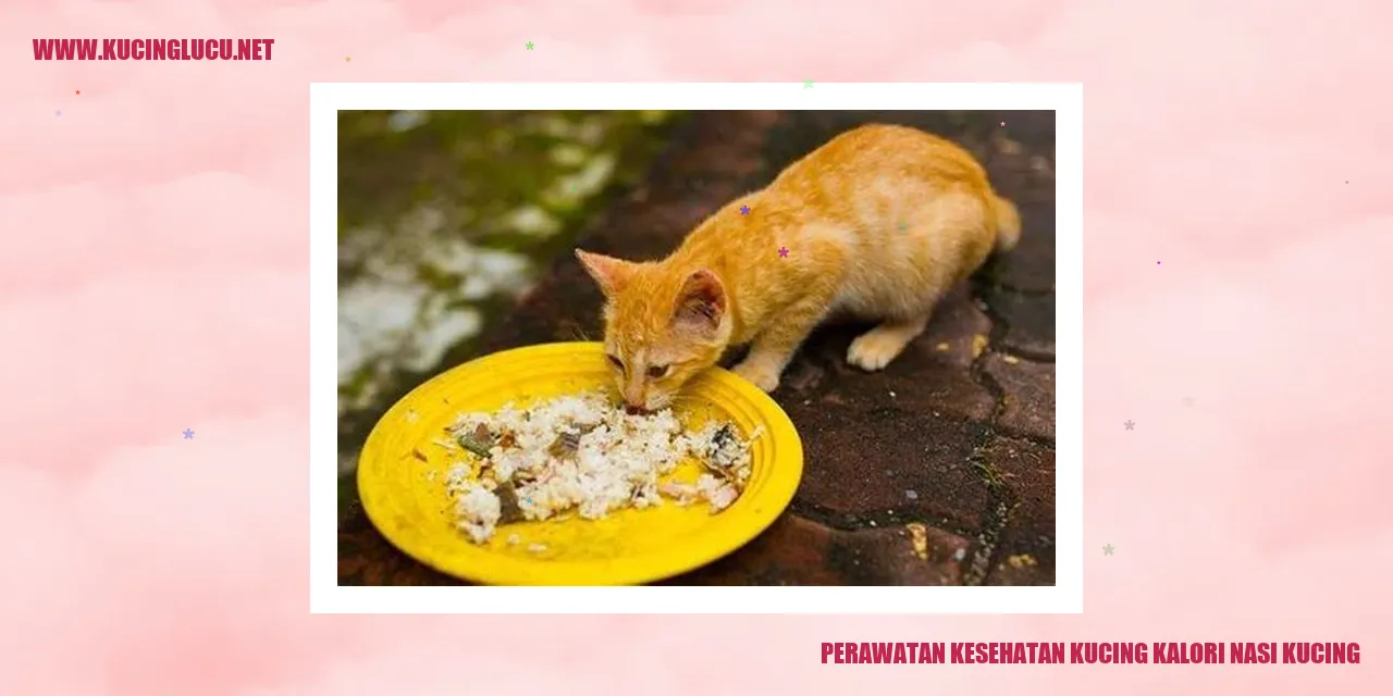 Gambar Kucing Sehat