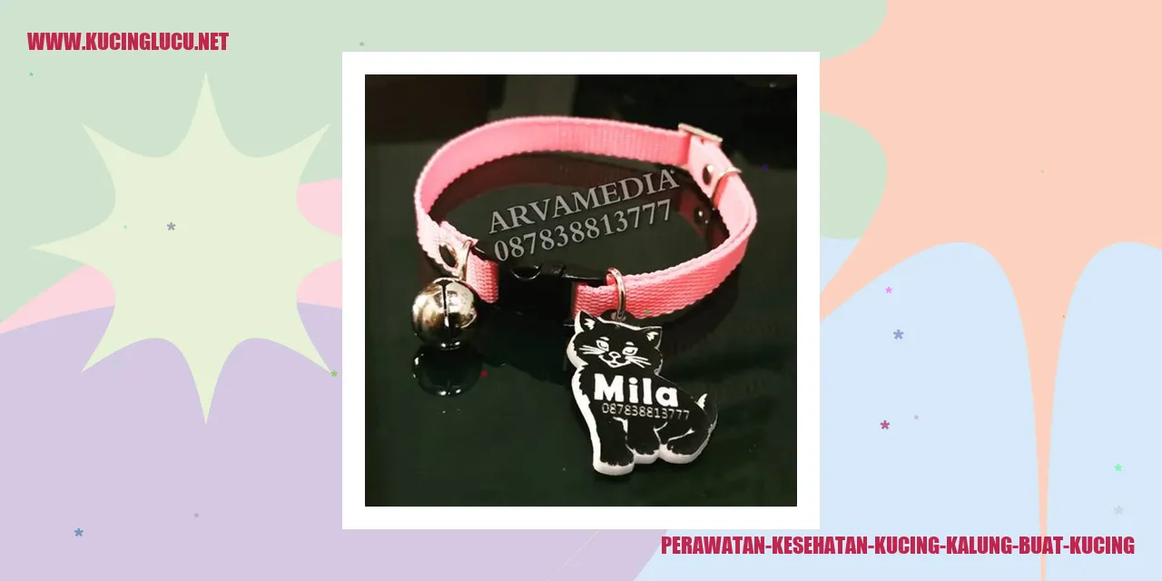 Gambar Kalung Untuk Kucing