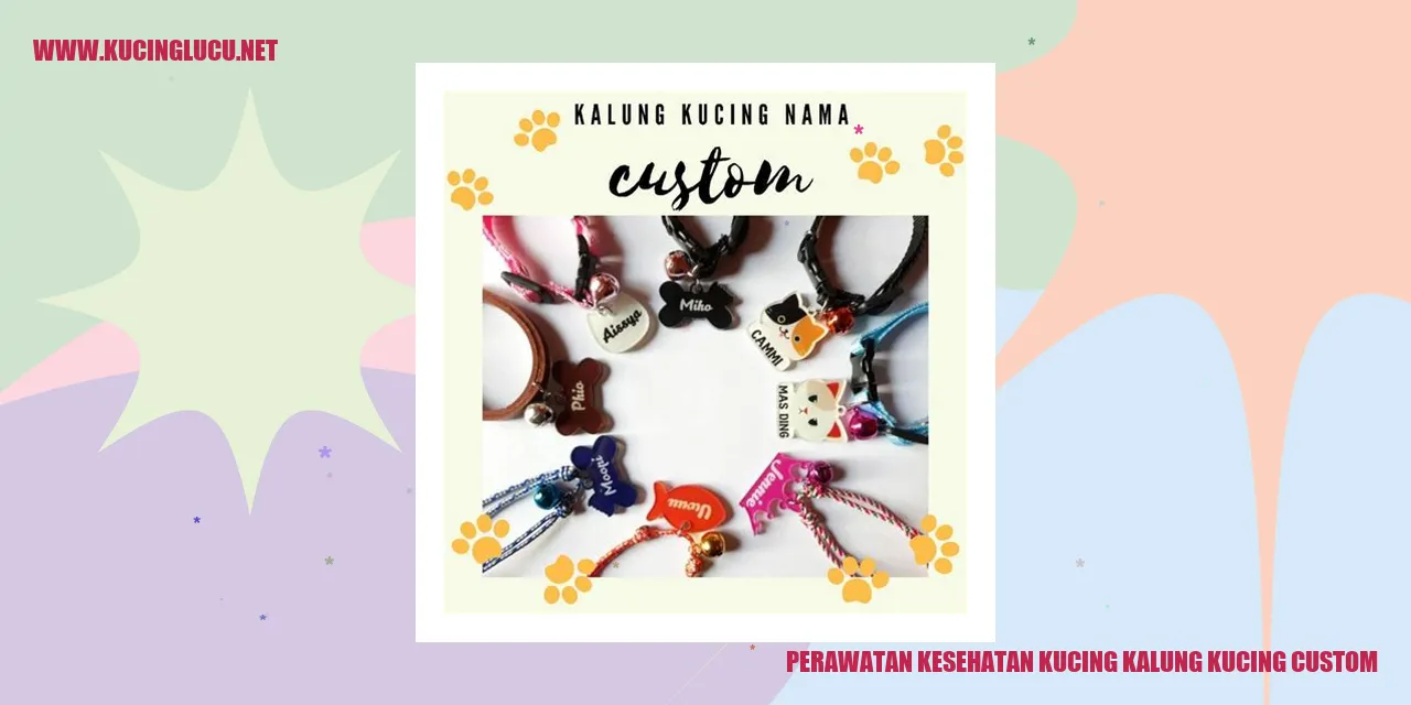Perawatan kucing dengan kalung kucing custom
