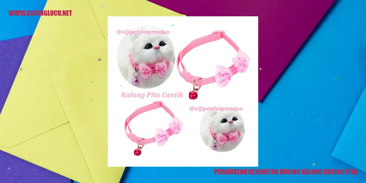 kucing mengenakan kalung pita