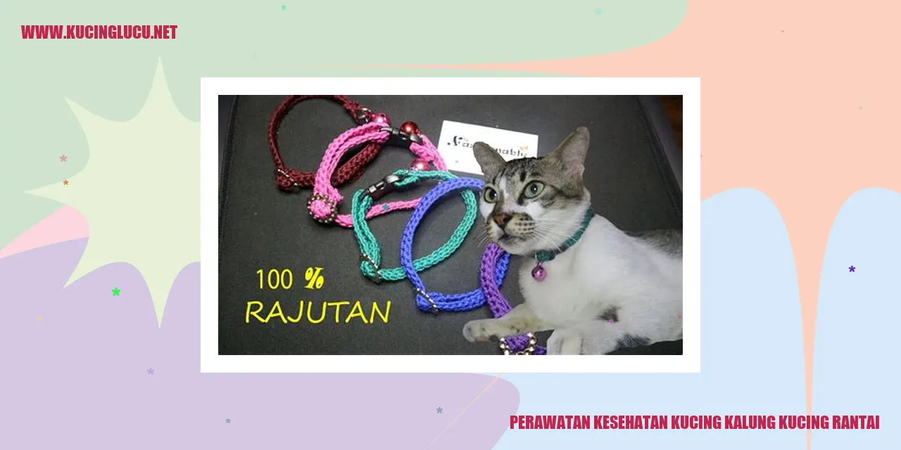 Perawatan Kesehatan Kucing dengan Kalung dan Rantai