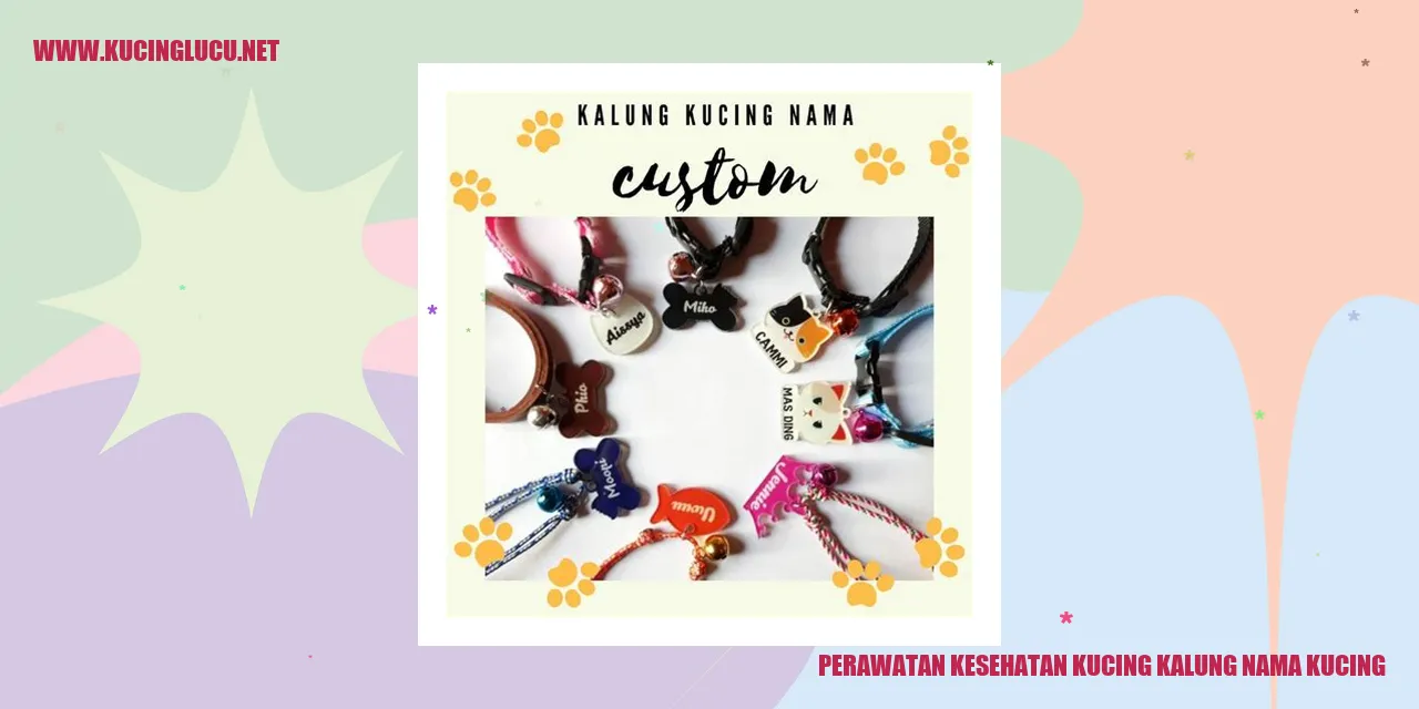 Perawatan Kesehatan Kucing dengan Kalung Nama Kucing