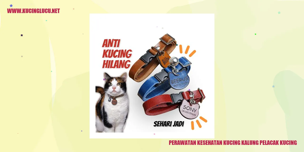 Gambar Kucing dengan Kalung Pelacak Kucing