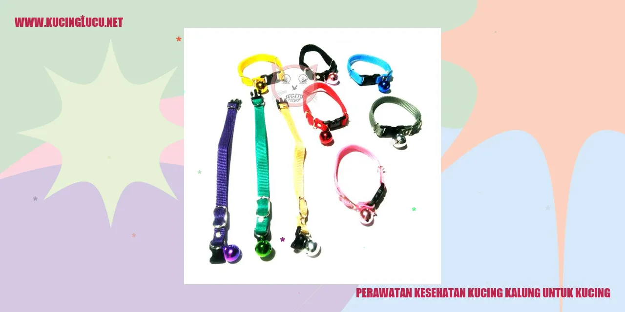 Kucing dengan kalung