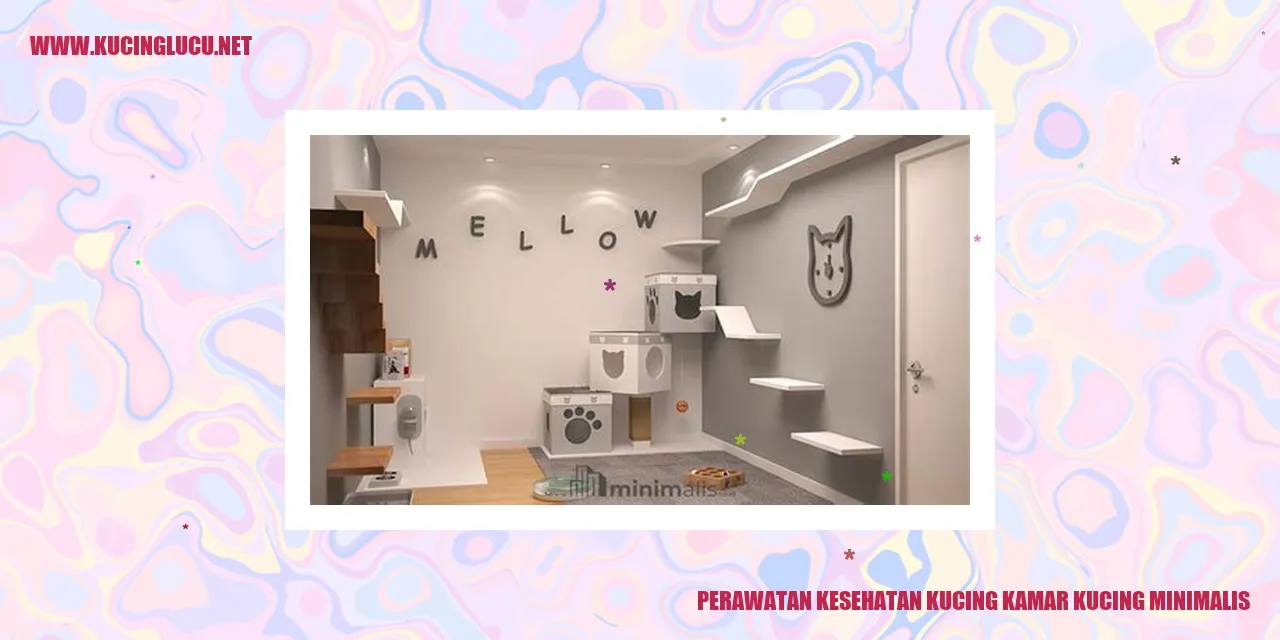 Perawatan Kesehatan Kucing kamar kucing minimalis