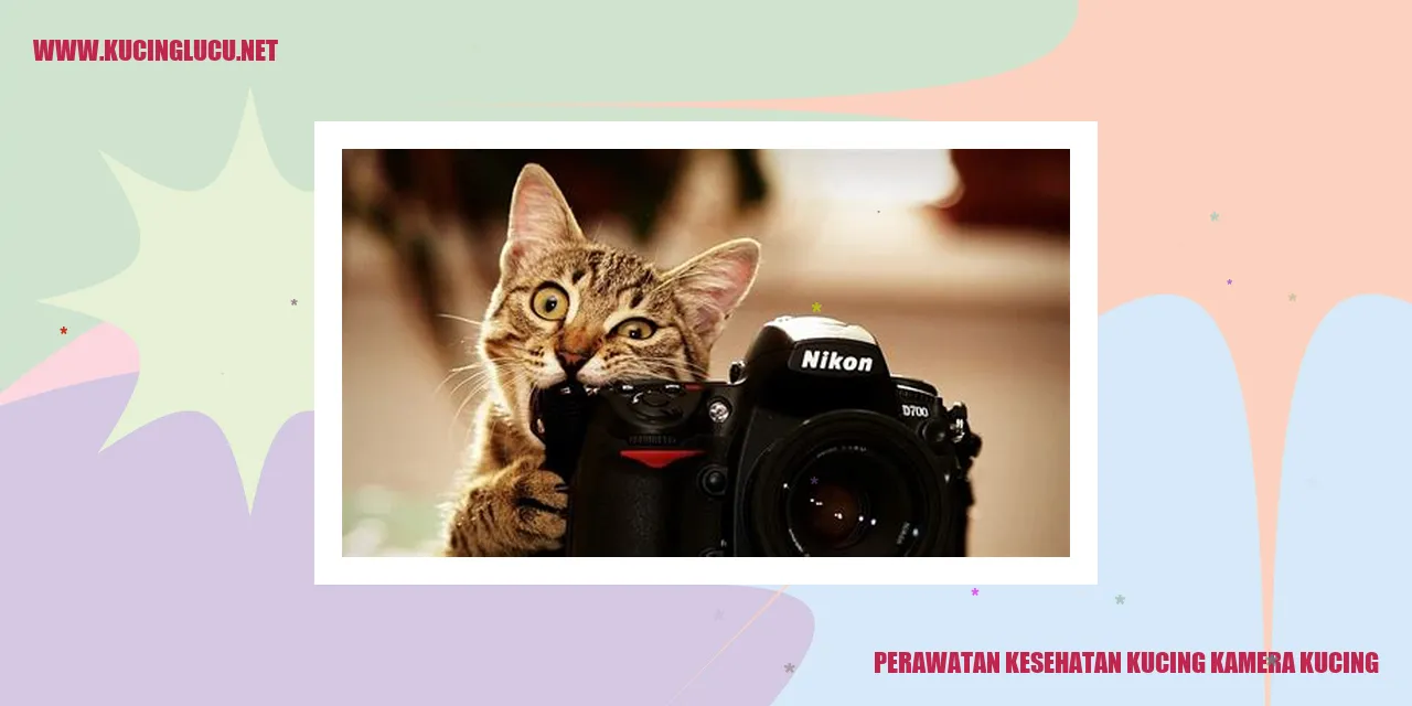 Perawatan Kesehatan Kucing Kamera Kucing