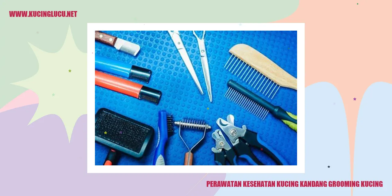 Kucing yang Sedang Dirawat