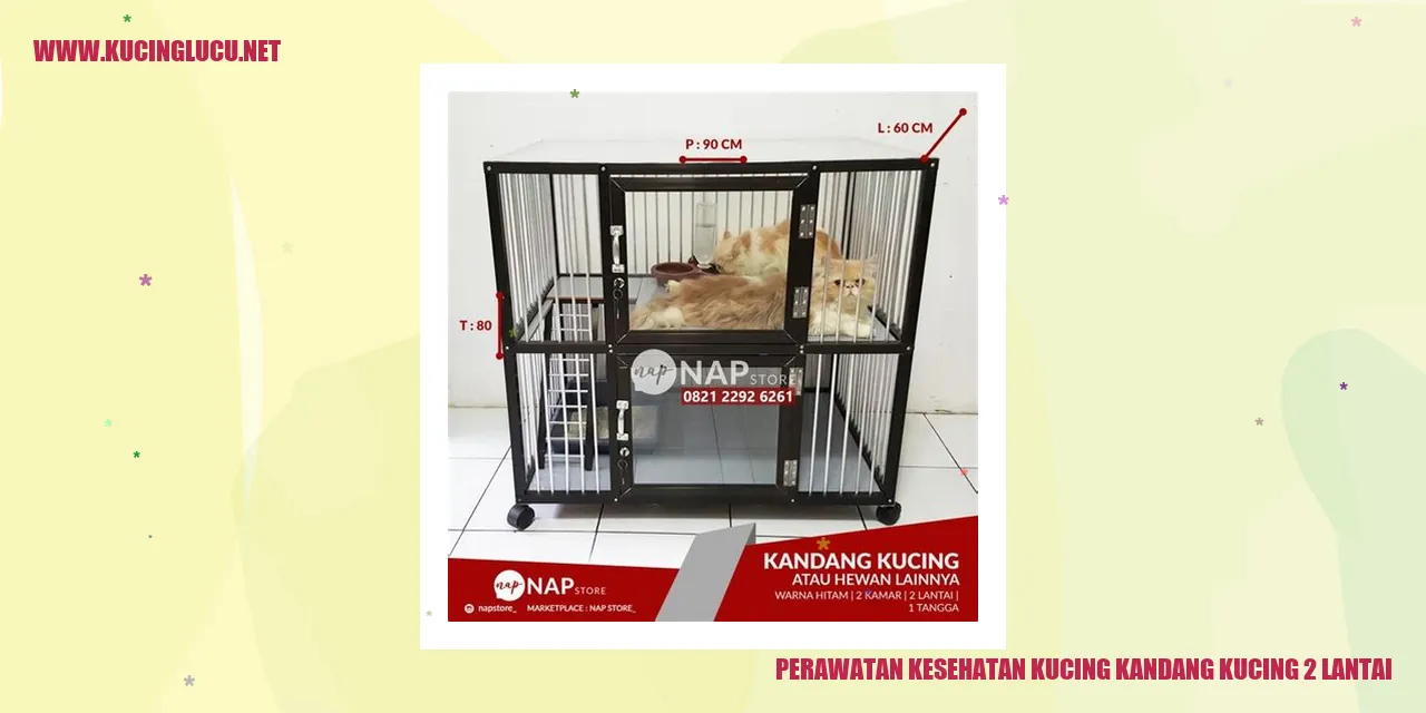 Perawatan Kesehatan Kucing kandang kucing 2 lantai