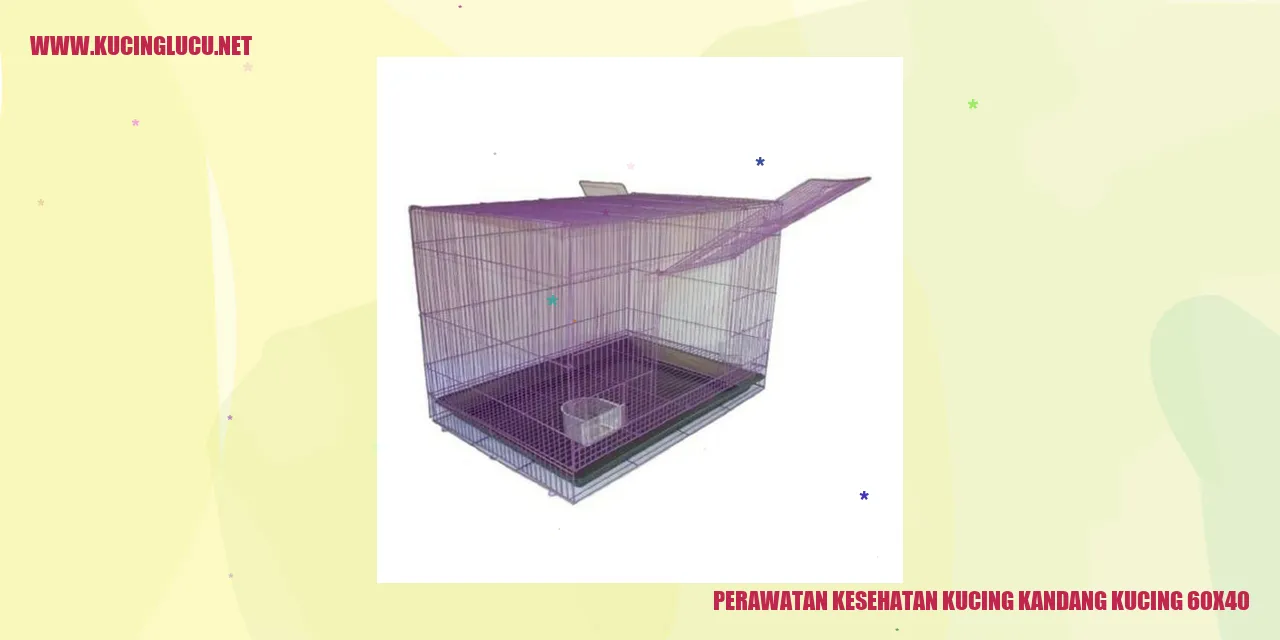 Perawatan Kesehatan Kucing